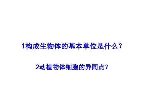第四节单细胞生物PPT课件