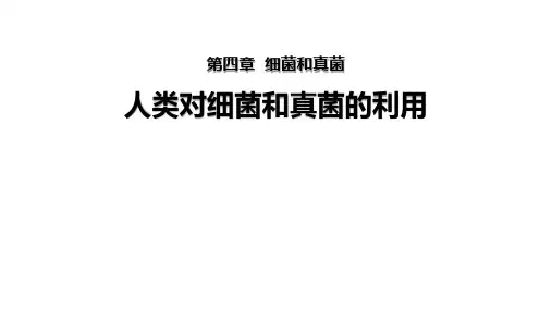 4.5人类对细菌和真菌的利用(共28张ppt)人教版(2024)生物八年级上册