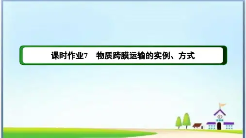 课时作业7 物质跨膜运输的实例、方式(含答案详解)