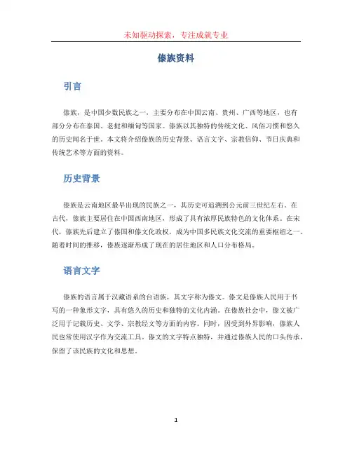 傣族资料文档