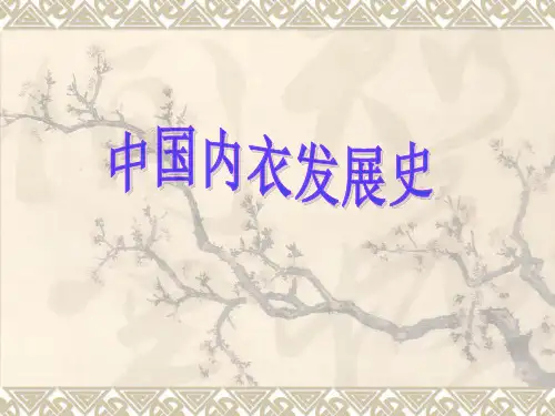 一、中国内衣发展史(家鹏1)