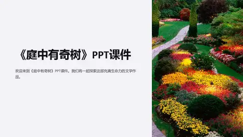 《庭中有奇树》课件
