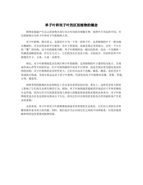 单子叶和双子叶的区别植物的概念