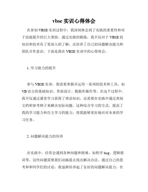 vbse实训心得体会