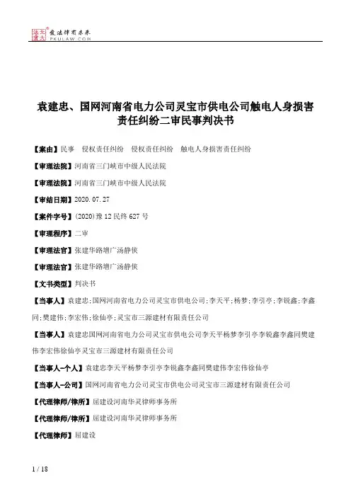 袁建忠、国网河南省电力公司灵宝市供电公司触电人身损害责任纠纷二审民事判决书
