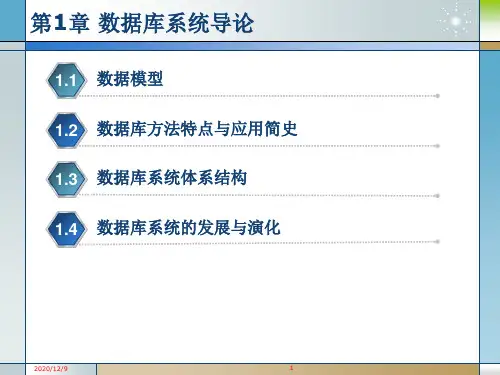 第1章 数据库系统导论PPT课件