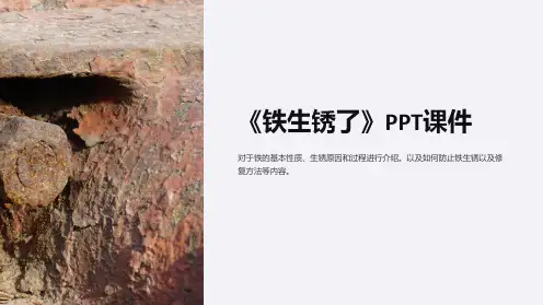 《铁生锈了》课件