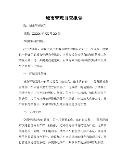 城市管理自查报告