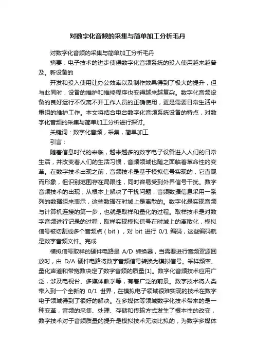 对数字化音频的采集与简单加工分析毛丹