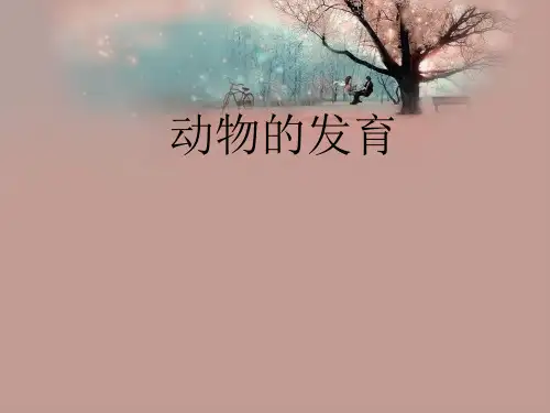 动物的发育PPT教学课件