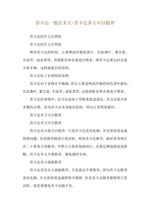 苏卡达一般长多大-苏卡达多大可以散养