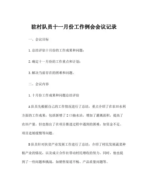 驻村队员十一月份工作例会会议记录