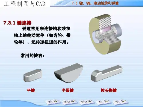 工程制图与CAD7.3键销滚动轴承和弹簧.ppt