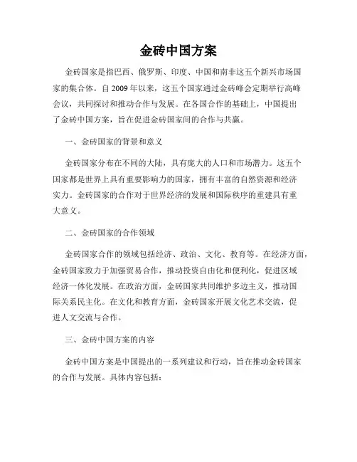 金砖中国方案