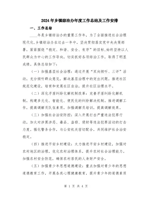 2024年乡镇综治办年度工作总结及工作安排