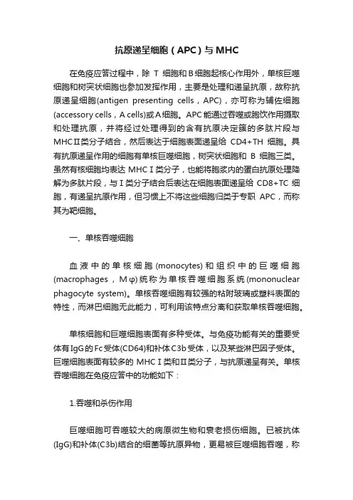 抗原递呈细胞（APC）与MHC