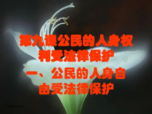 公民的人身自由受法律保护PPT优选课件