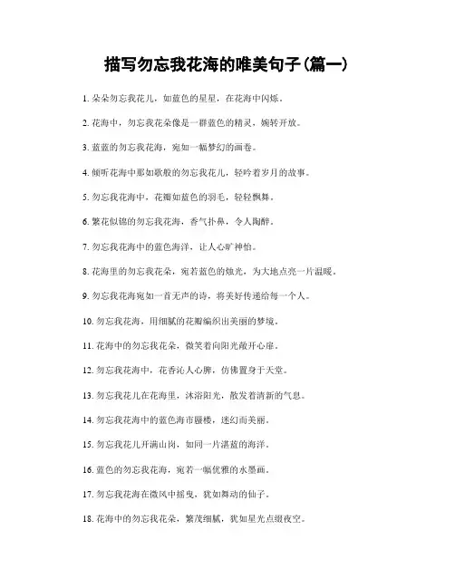 描写勿忘我花海的唯美句子(精选合集2篇)