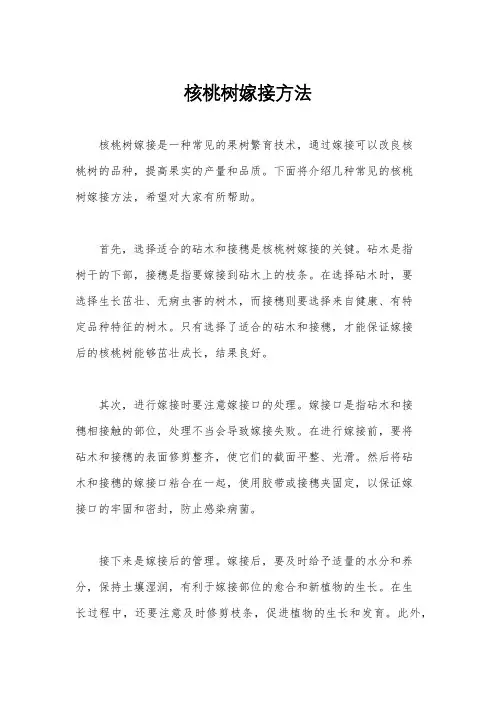 核桃树嫁接方法