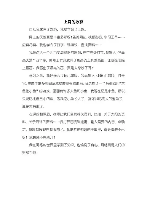 上网的收获