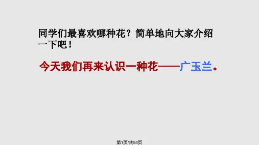 18广玉兰PPT课件PPT教学课件