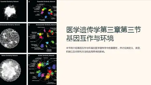 医学遗传学第三章第三节基因互作与环境