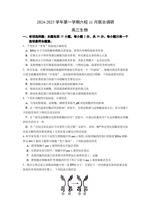 江苏省南京市六校联合体2024-2025学年高三上学期11月联考生物试卷