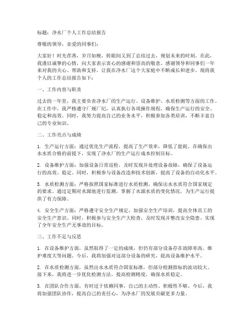 净水厂个人工作总结报告