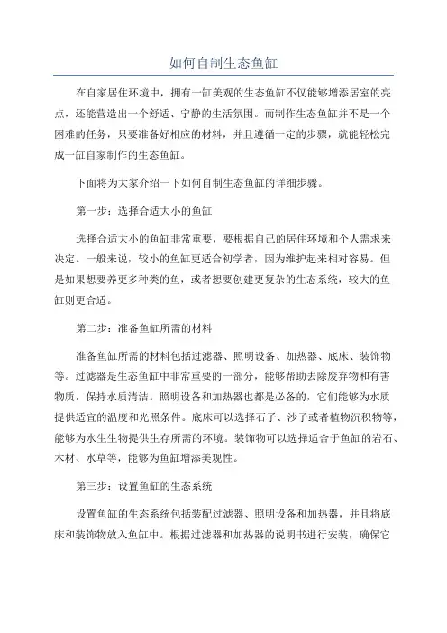 如何自制生态鱼缸
