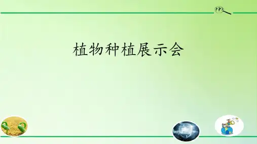 【17页】《植物种植展示》PPT模板文件