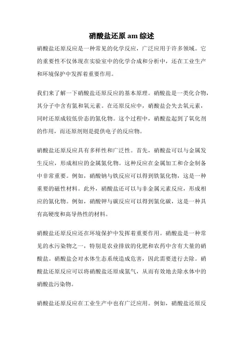 硝酸盐还原 am 综述