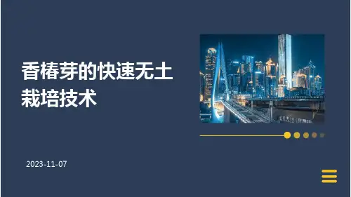 香椿芽的快速无土栽培技术