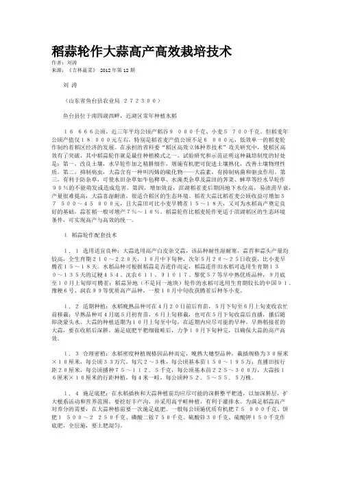 稻蒜轮作大蒜高产高效栽培技术