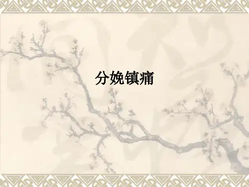 分娩镇痛ppt课件