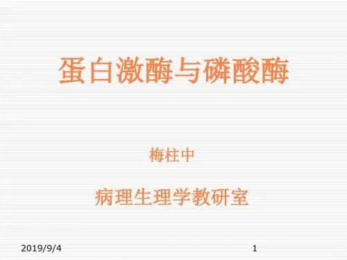 蛋白激酶与磷酸酶ppt课件