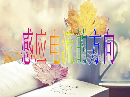 感应电流的方向PPT精品课件