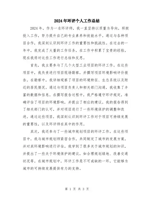 2024年环评个人工作总结