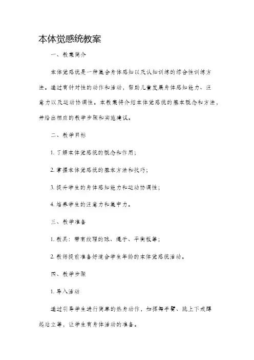 本体觉感统市公开课获奖教案省名师优质课赛课一等奖教案