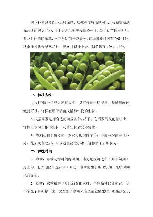 豌豆的种植方法和时间