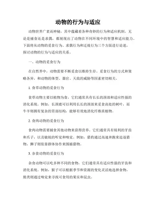 动物的行为与适应