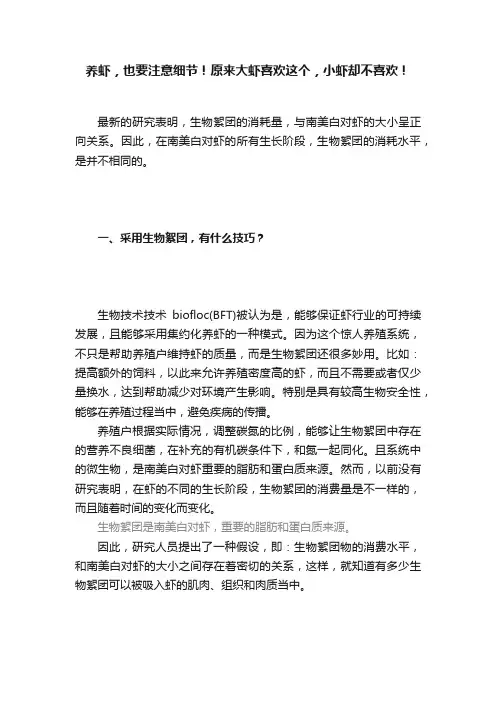 养虾，也要注意细节！原来大虾喜欢这个，小虾却不喜欢！