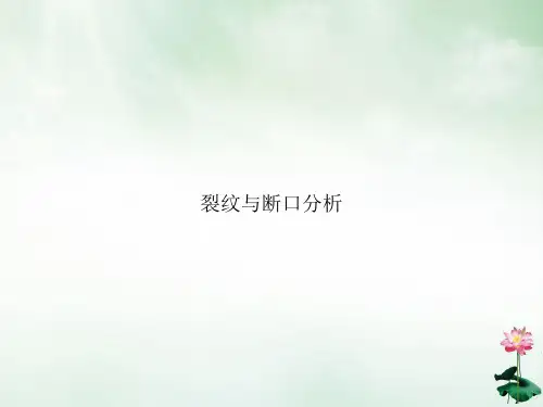裂纹与断口分析课件
