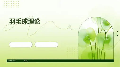 羽毛球理论
