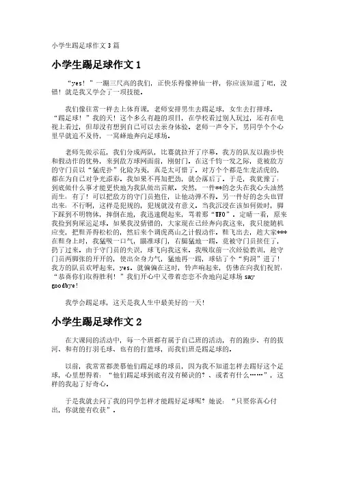 小学生踢足球作文3篇