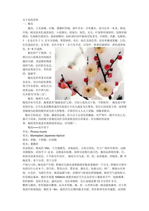 关于花的资料