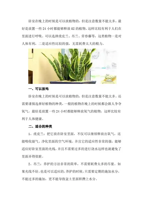 卧室晚上可以放植物吗