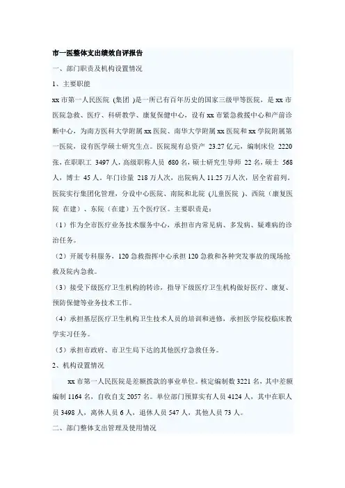 市一医整体支出绩效自评报告