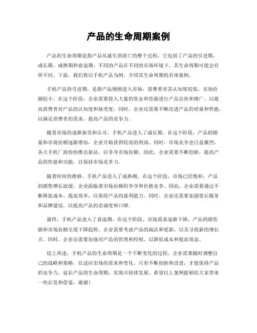 产品的生命周期案例