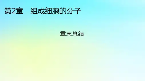 新教材2024版高中生物第2章组成细胞的分子章末总结课件新人教版必修1