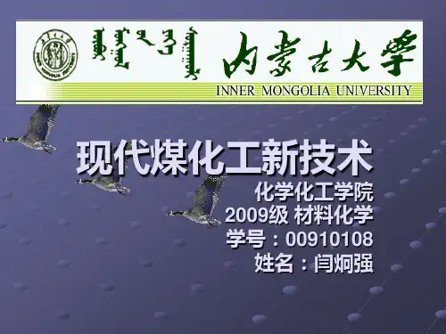 现代煤化工新技术 - 副本